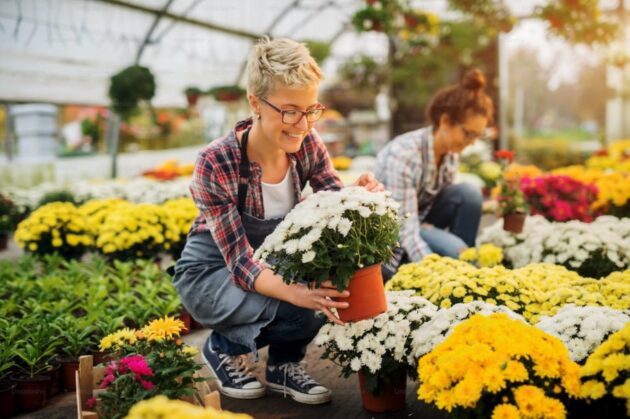 Floristería en Teruel