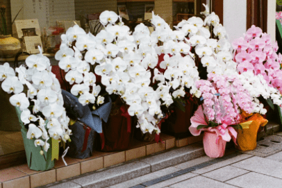 floresjosemaria.es